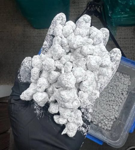 snow caps weed bulk